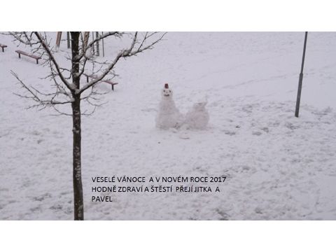 Foto 45